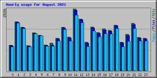 Hourly usage for August 2021